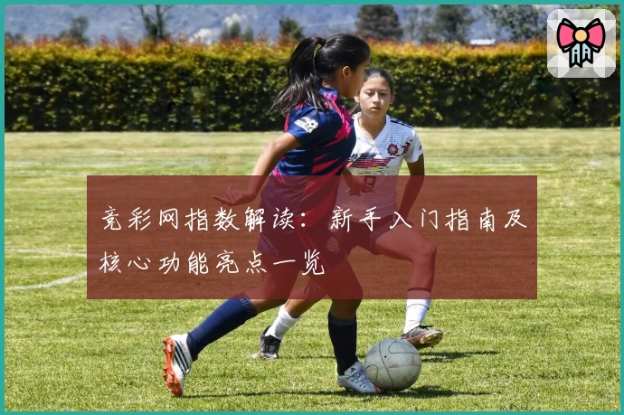 竞彩网指数解读：新手入门指南及核心功能亮点一览