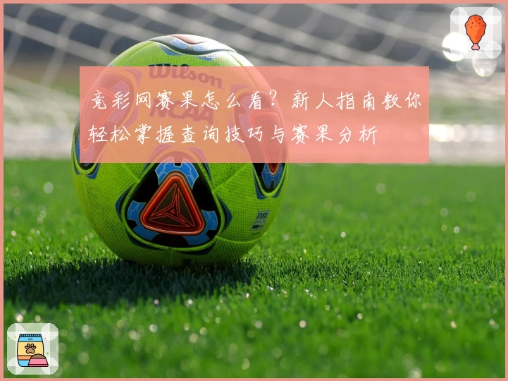竞彩网赛果怎么看？新人指南教你轻松掌握查询技巧与赛果分析
